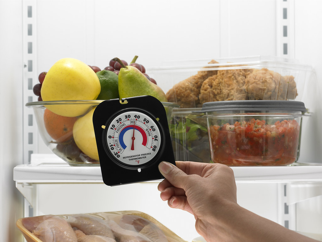 Inside a fridge with fruit, leftovers and a fridge thermometer