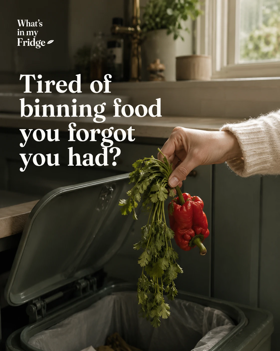 Never Forget Food at the Back of the Fridge Again