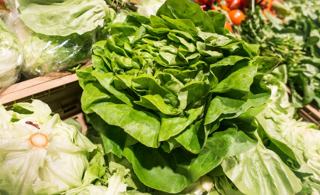 Fresh green leafy vegetables on display at a grocery shop