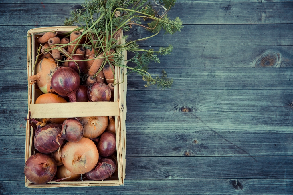Freshly harvested vegetables in a wooden crate